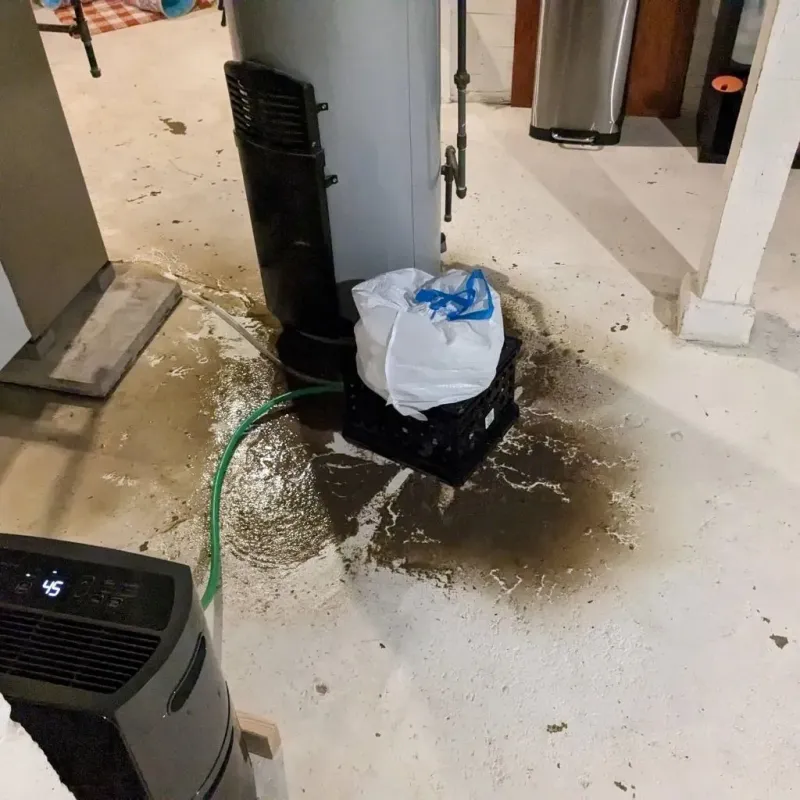 Sewage Backup Cleanup Service in Ragland, AL